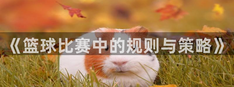 《篮球比赛中的规则与策略》