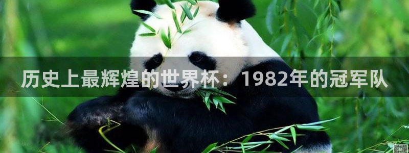 沙巴足球：历史上最辉煌的世界杯：1982年的冠军队