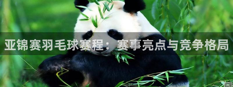 沙巴足球俱乐部：亚锦赛羽毛球赛程：赛事亮点与竞争格局